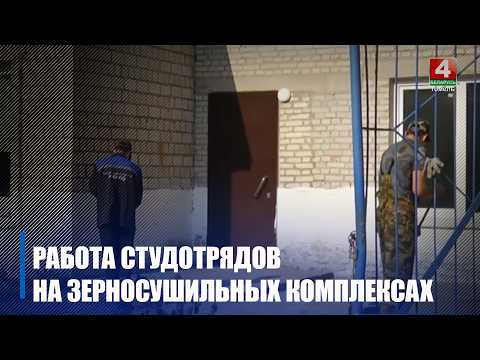 На зерносушильных комплексах Гомельской области аграриям помогают бойцы студотрядов