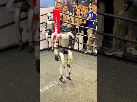 I Fought a Humanoid Robot at CES