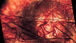 Video thumbnail for RMI KCII ambient improvisation by morganfisherart