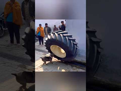 MANO TYRES SE BACH GYI 😅 #automobile  #tractorglobal #farming #pb08farming #stunt #farmer