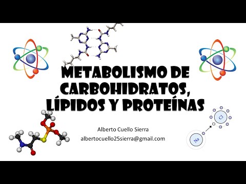 Bioquímica. Generalidades del metabolismo de Carbohidratos, lípidos y proteínas