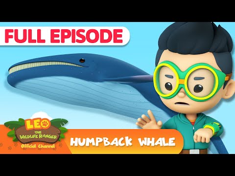 Witness21 Editor  2025 04 17