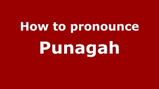 How to pronounce Punagah