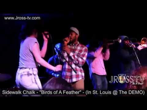 James Ross @ Sidewalk Chalk - "Birds of A Feather" - (The Demo / St. Louis) - www.Jross-tv.com