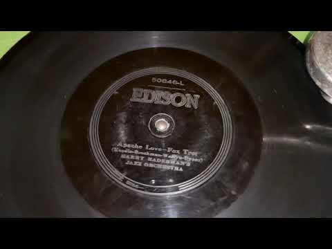 “Apache Love” Harry Raderman’s Jazz Orchestra - Edison Diamond Disc 50846