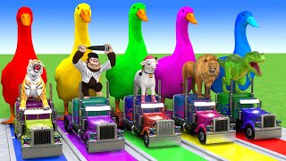 Download lagu 🔴 Makkah Live | مكة مباشر | الحرم المكي مباشر | قناة القران الكريم السعودية مباشر | مكه المكرمه مبا mp3 Download lagu 🔴 Makkah Live | مكة مباشر | الحرم المكي مباشر | قناة القران الكريم السعودية مباشر | مكه المكرمه مبا mp3