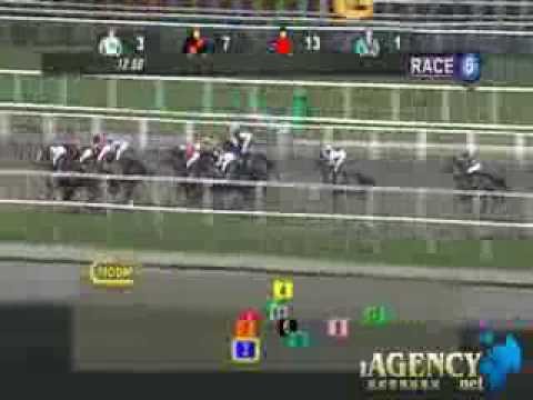 SINGAPORE RACE 15/11/2013 RACE 6 - iAgencyNet.com