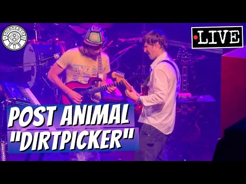 Post Animal "Dirtpicker" LIVE