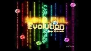 Soulful Evolution February 22nd 2013 Soulful House Show HD (53)