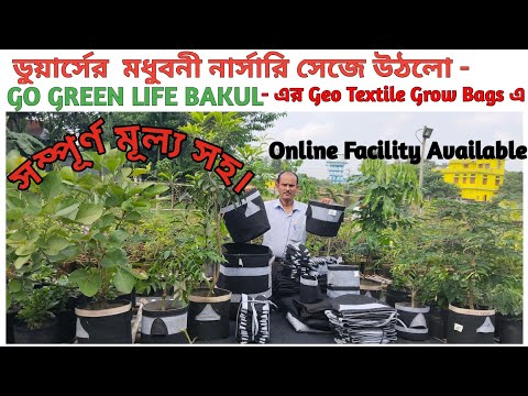 100 % Export Quality Geo Textile grow Bags - এ গাছের বৃদ্ধি দেখুন। #GEO BAG# GEO TEXTILE GROW BAG#