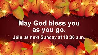 Diverse Women Collaborating