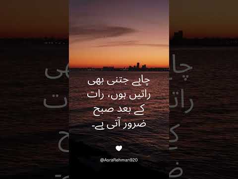 Motivate Quotes | Asra Rehman | |2024 #motivation #successmindset #positivevibes #nevergiveup