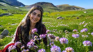 Hozan  Fikret Xezka  Telek  Bama (KÜRÇE MÜZİK ) Strana Kurdi  süper klip HD 4k 2