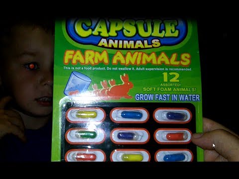 КАПСУЛЫ С РАСТУЩИМИ ЖИВОТНЫМИ/ЖИВОТНЫЕ ФЕРМЫ/GROWING CAPSULES ANIMALS