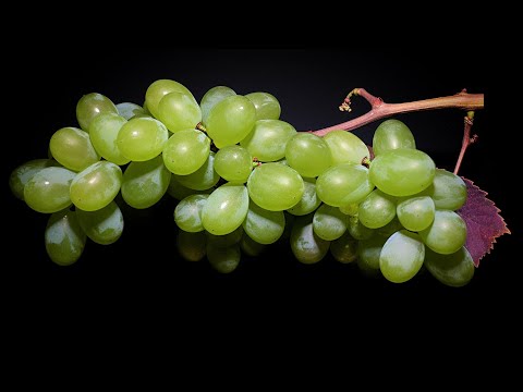 YouTube video about: What are raisins?