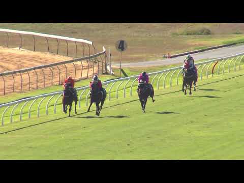 Barrier Trials 3 - 900m - Rockhampton 12 August 2019