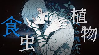 前奏がもう切ない - 食虫植物-理芽 /まひとくん。 【歌ってみた】