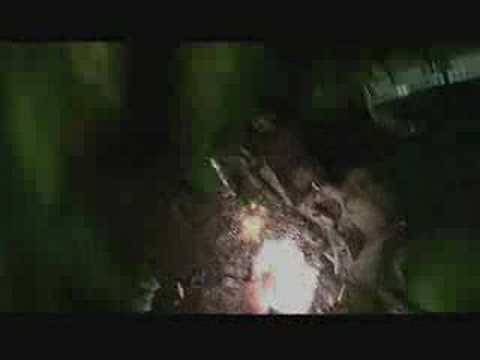 Star Trek- Cosmic Castaway