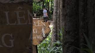 #Shorts Đường đi bộ l&ecirc;n động Thi&ecirc;n Đường.