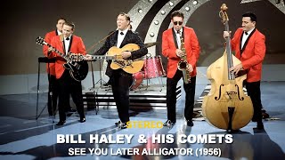Bill Haley &amp; His Comets - See You Later Alligator (REAL STEREO)
