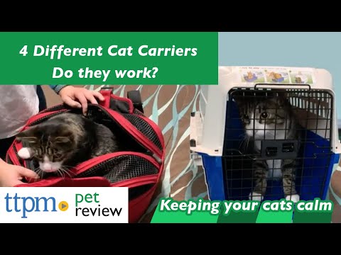 4 Different Cat Carrier to Keep Your Cat Calm and Comfy  During Travel | Tested & Reviewed