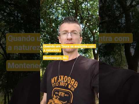 Um Taura de Boa VISTA do Buricá e a natureza.