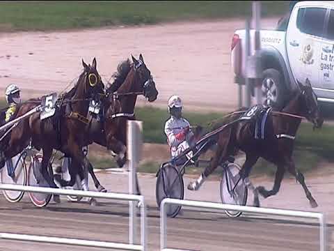 Trotto 07/04/2019 - 3ª corsa