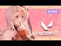 【Valorant】HEHE HALO MALAM