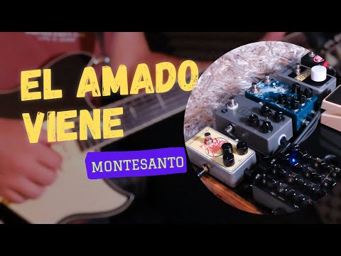 el amado viene / montesanto / acordes/solos/gear