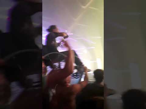 Thunderdome 2017: Guy in wheelchair lifted up @ Noize Suppressor/ Mad Dog gig