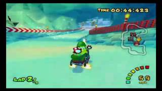 SL flap WR