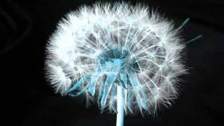 Deep Division - Touch