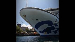 Crown Princess travels the World for 115 days