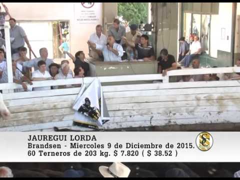 09-12-15 Venta de Machos - Jauregui Lorda - Brandsen.