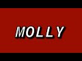 Sleepy Hallow ft. Sheff G - Molly (Lyrics)