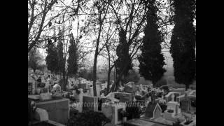 preview picture of video 'Cementerio Cerro Mayaca Quillota'