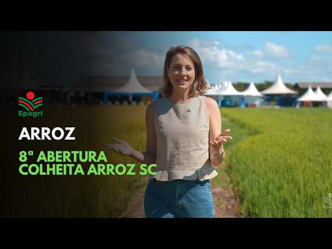 8ª Abertura Oficial da Colheita de Arroz de Santa Catarina