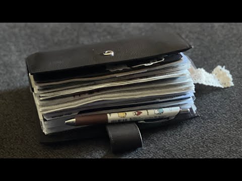 Gillio Medium Compagna | Daily Planner Update | #plan #gillio #plannerflip