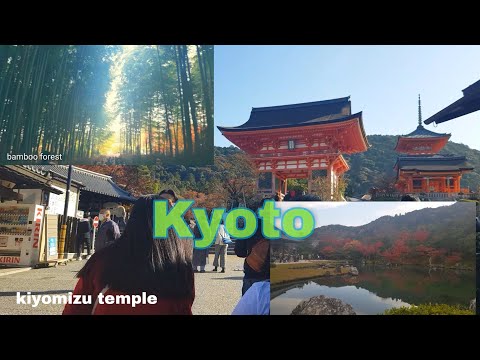Visiting Kyoto Temple and Bamboo Forest  #Autumn