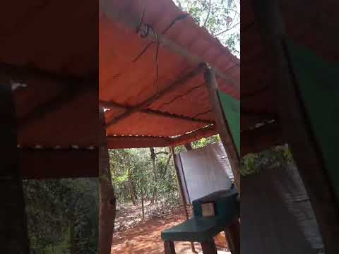 VENDO RANCHO NA BEIRA DO RIO TURVO.TURVELÂNDIA - GOIÁS.5 MTS DE BEIRA DA RUA.7 MTS DE BARRANCO