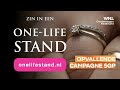 SGP komt met opvallende billboardcampagne: Zin in een onelifestand?'