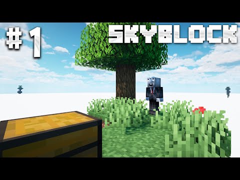 Minecraft Skyblock: NEW ADVENTURE!  #1