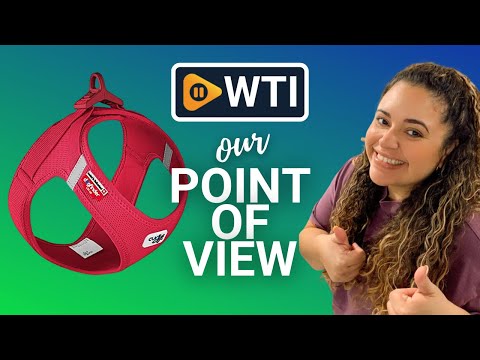 Curli Vest Harness for Dogs - WTI product video review