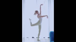 2112V透明水着ハイレグｔバッグレオタード