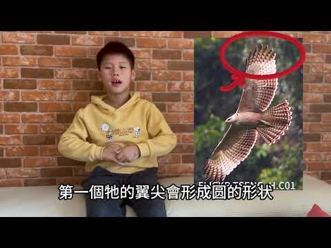 國小中年級中文組潛力獎-2024六福永續獎: 最佳人氣影片