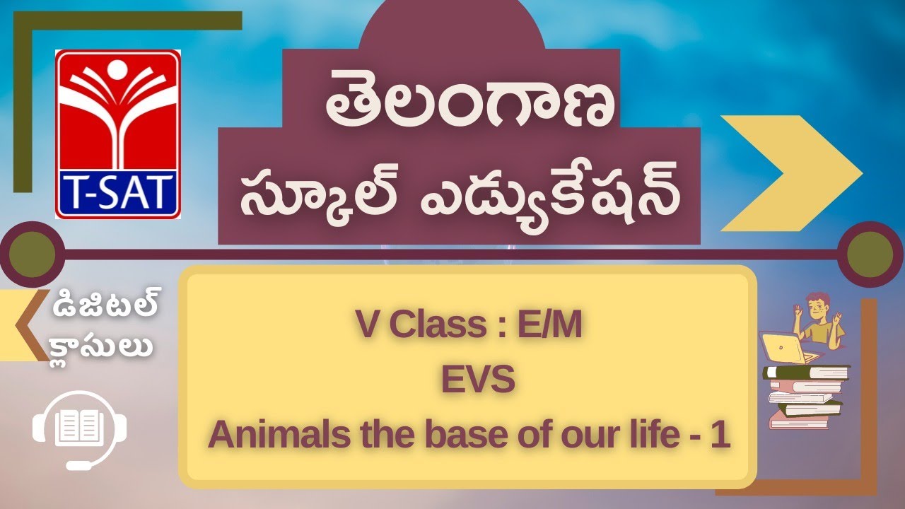 V Class - E/M || EVS – Animals the base of our life - 1