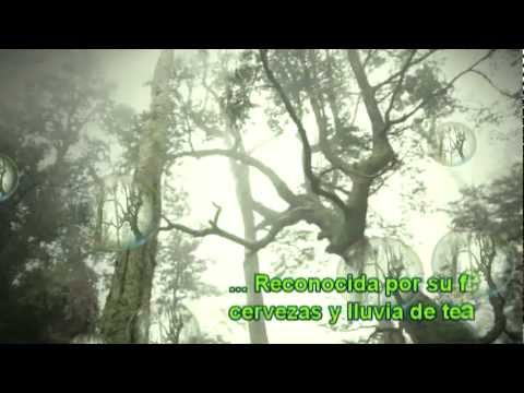 Promocion AIESEC Valdivia 2012 v2.0