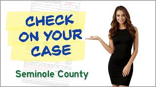 How to Look Up a Traffic Ticket in Seminole County Florida (Case Search Guide)