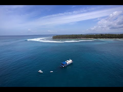 BRUCE IRONS v THE RADIO BIRDMAN with " I-94"