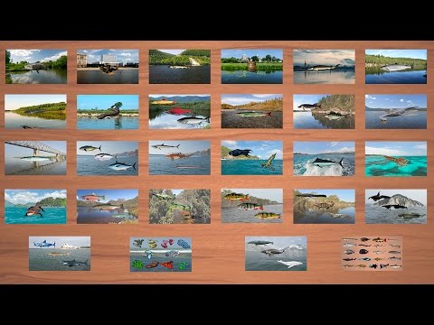 Русская Рыбалка 3.99 Навигация по рыбалке